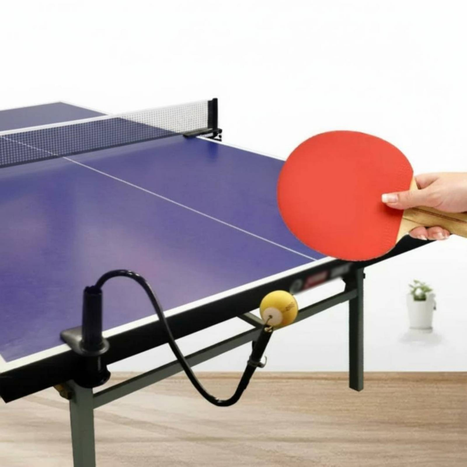 Tafeltennis Solo Oefenhulp Fle - Table Tennis Youtube recensie en prijs
