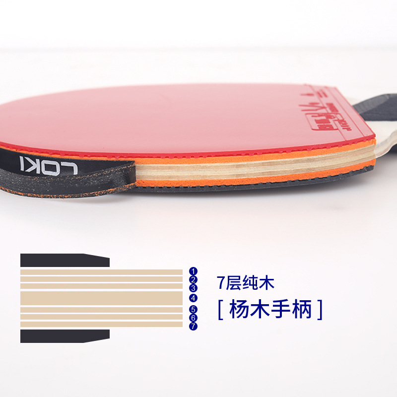 LOKI K1000 Professioneel Tafel - Table Tennis Youtube recensie en prijs